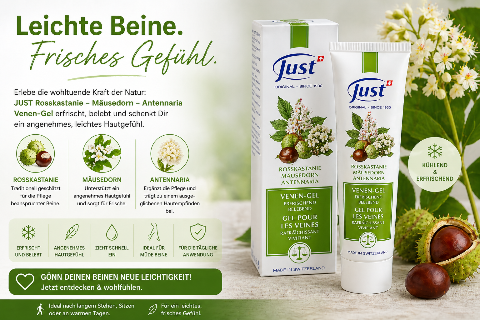 JUST Rosskastanie Mäusedorn Antennaria Venen Gel